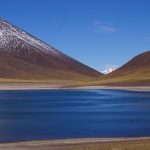 Vânia Oliveira, nueva directora de AFEET Brasil