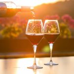 WTTC alerta a gobiernos y privados a frenar la pérdida de diversidad y el cambio climático