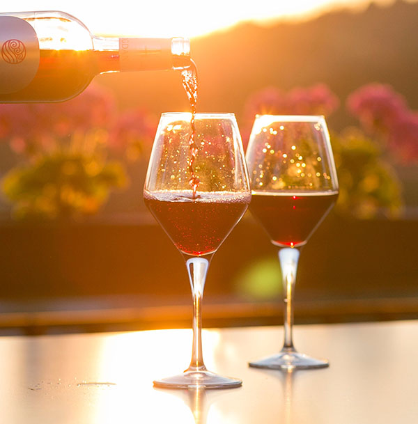 Concurso Premios Enoturismo: Elige las experiencias enoturísticas de Chile