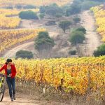 Mes del ORGULLO en St. Pete/Clearwater de la Florida