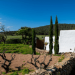 Madrid: Nuevo Programa de Visitas Guiadas "Te faltan calles"