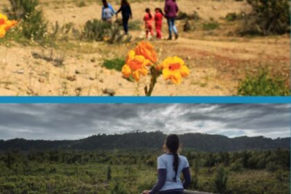 Chile: Comienzan los Pre-Summit Adventures