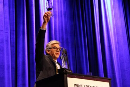 Vino chileno hace historia en la industria vitivinícola mundial