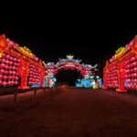 Roberto Daura: “Chile se encuentra en un momento de expansión”