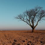 AENOR certifica aerolíneas por compromiso con la accesibilidad