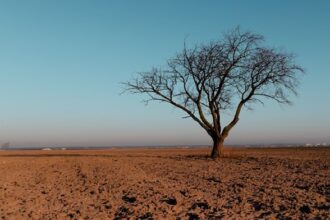 ¿A quién afecta el cambio climático?