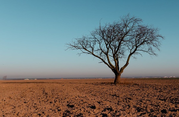 ¿A quién afecta el cambio climático?