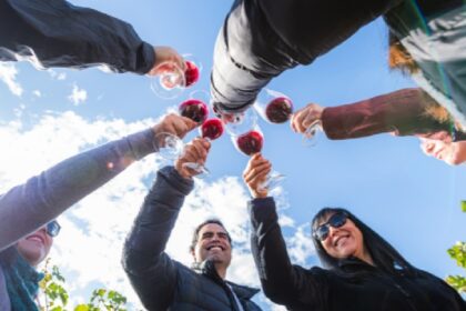 Chile: inicia temporada de vendimias con más de 40 fiestas