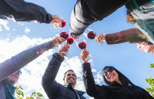 Chile: inicia temporada de vendimias con más de 40 fiestas