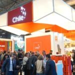 Chile actualiza mapa de enoturismo: comienza la 5ª edición del Catastro Nacional