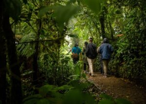 Siete experiencias para reconectar con lo esencial y experimentar el “Pura Vida”