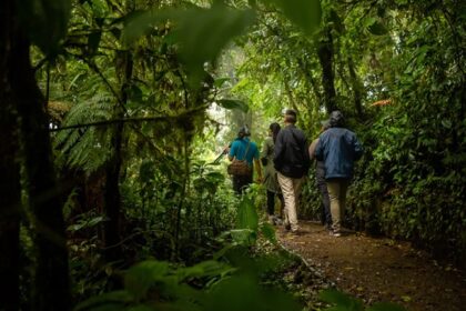 Siete experiencias para reconectar con lo esencial y experimentar el “Pura Vida”